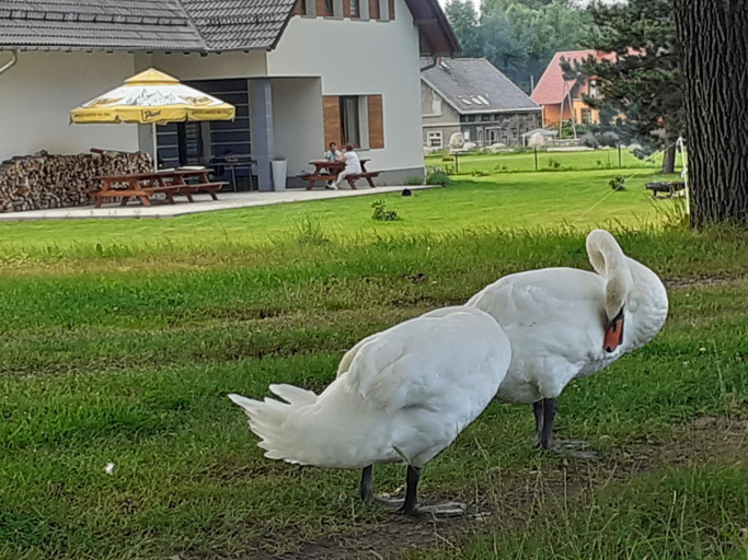 Others 2, Agroturystyka Aura, Jelenia Góra