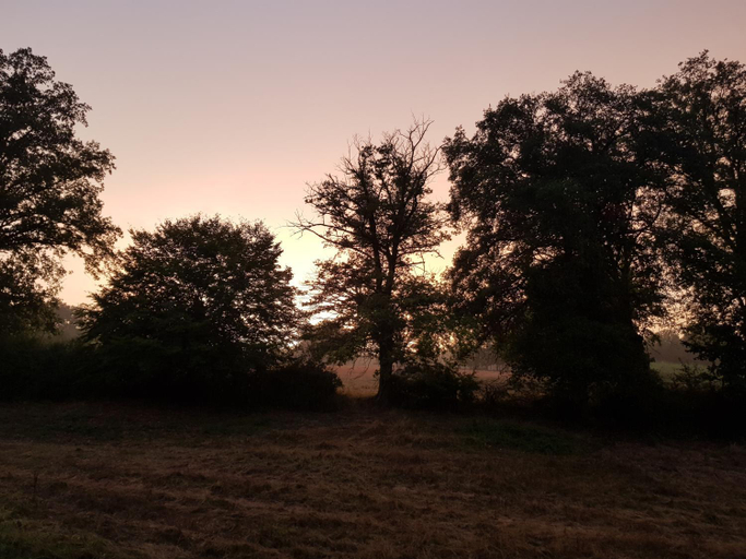 Others 3, La Perle Secrete, Allier
