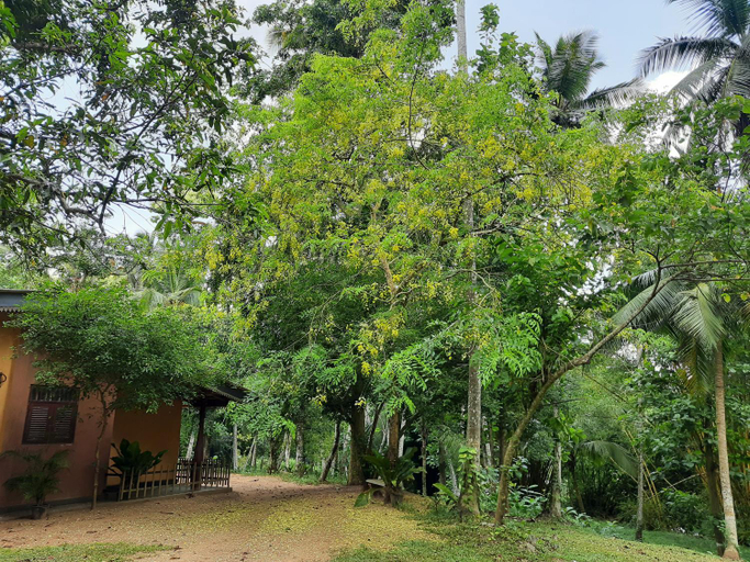 Others 4, Nature's Hideout Holiday Home, Alawwa
