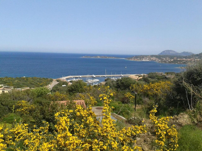 Surrounding environment