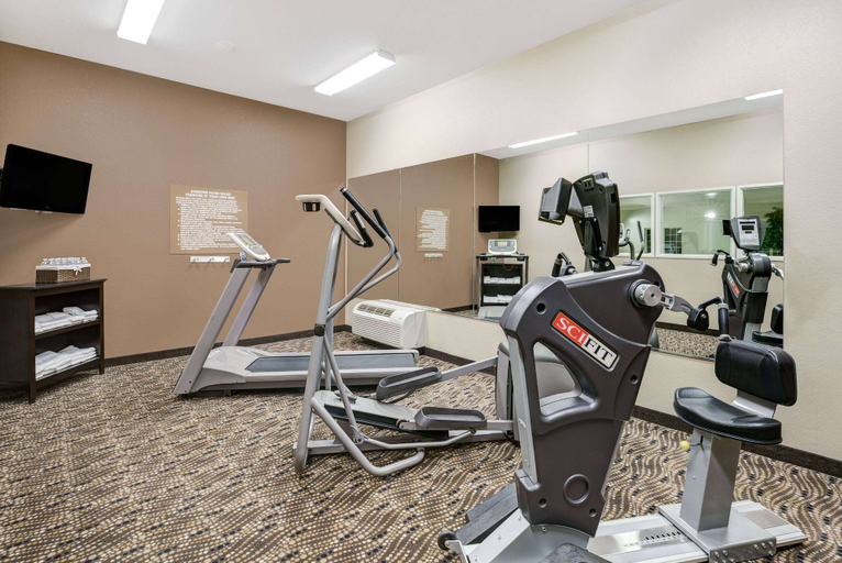 Others 5, Microtel Inn & Suites by Wyndham Williston, Williams