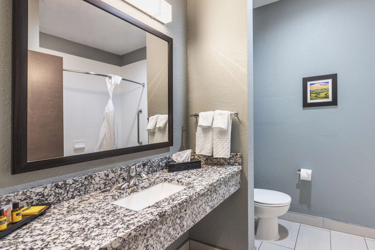 Bathroom 4, Best Western Plus Owensboro, Daviess