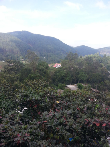 Surrounding environment 2, See Fox Hill Resort, Bandarawela