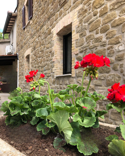 Others 5, Agriturismo Tra Le Colline, Perugia
