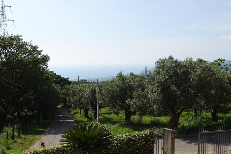Others 5, B&B Nucria - Nocera Terinese, Catanzaro