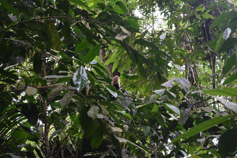 Others 4, Bewak CR, Pococí