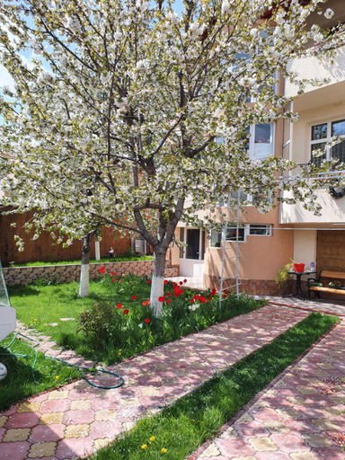 Others 3, PENSIUNEA CIRESUL ALB, Tulcea