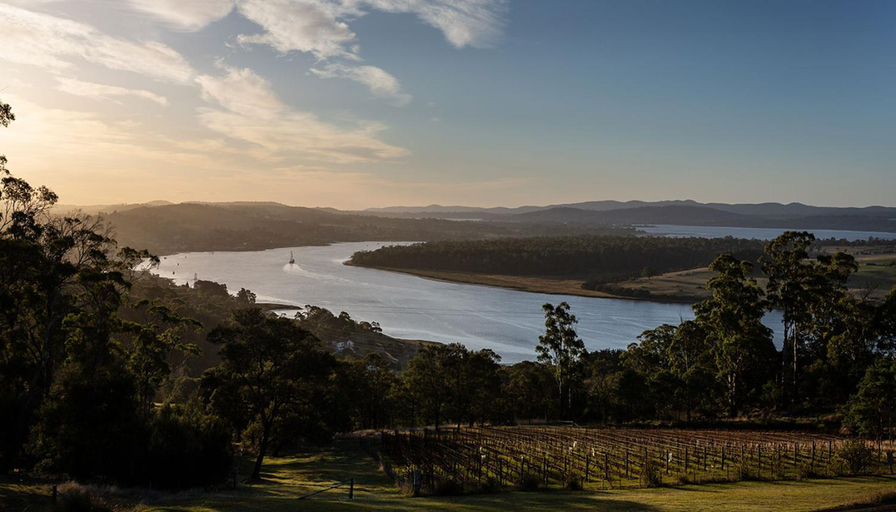 Others 3, Domescapes in the Vines, West Tamar - Pt A
