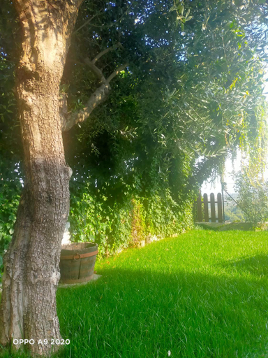 Others 5, B&B Madonna degli Airali, Cuneo