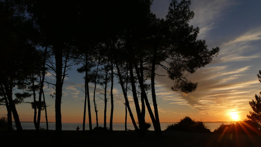 Others 2, Bleuvelours, Gironde
