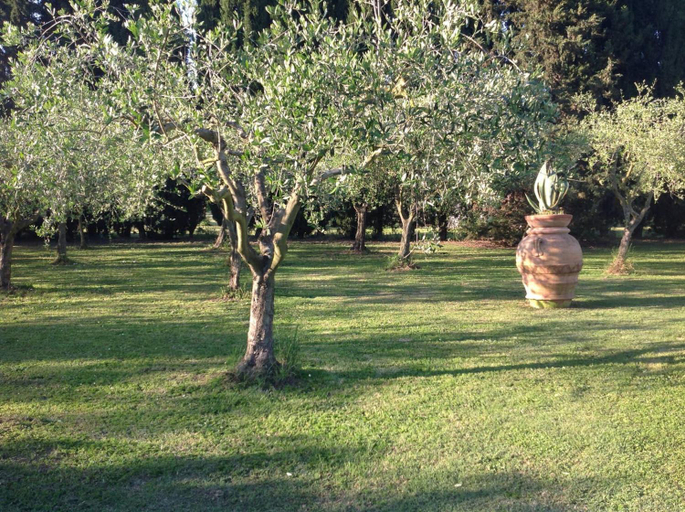 Others 2, Charming Villa in Pisa with terrace and shared pool., Pisa