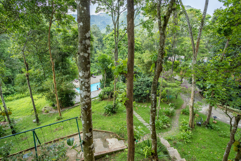 Others 5, Coffee Routes Thekkady, Idukki
