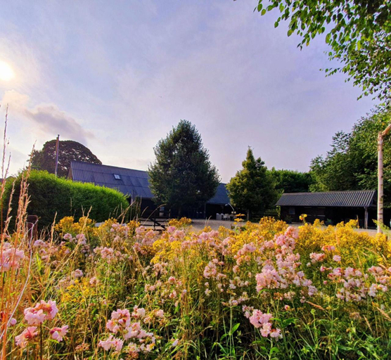 Others 5, B&B Mooi Montferland, Bergh