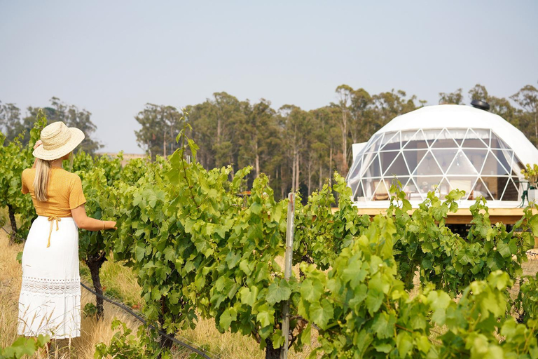 Others 4, Domescapes in the Vines, West Tamar - Pt A
