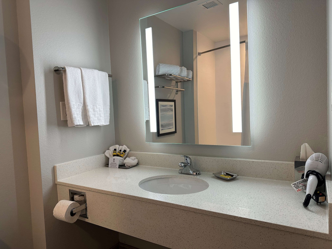 Bathroom 4, Best Western Plus Chandler, Henderson
