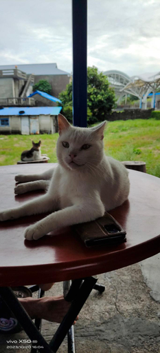 Others 4, Chentien Changkuang Homestay, Taitung