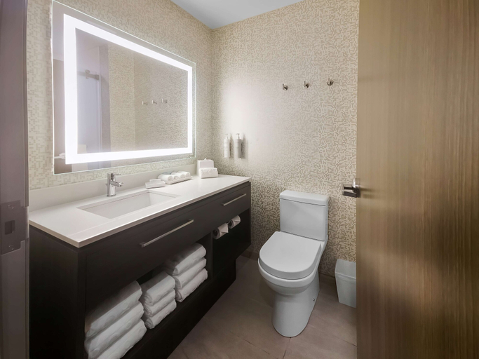 Bathroom 5, Home2 Suites By Hilton Bolingbrook Chicago, Will