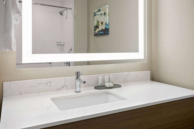Bathroom 5, La Quinta Inn & Suites by Wyndham Locust Grove, Henry
