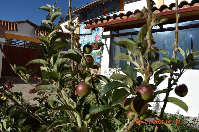 Others 5, La Finca Tarma, Tarma