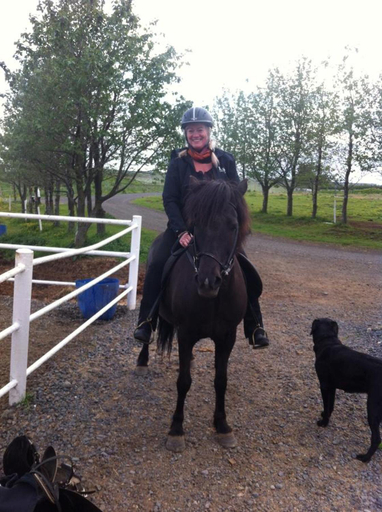 Others 2, Country Dream - Langholt 2, Hraungerðishreppur