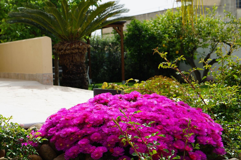 Others 5, B&B Milena, Trapani