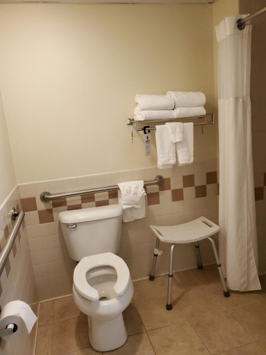 Bathroom 4, AmericInn by Wyndham Thief River Falls, Pennington