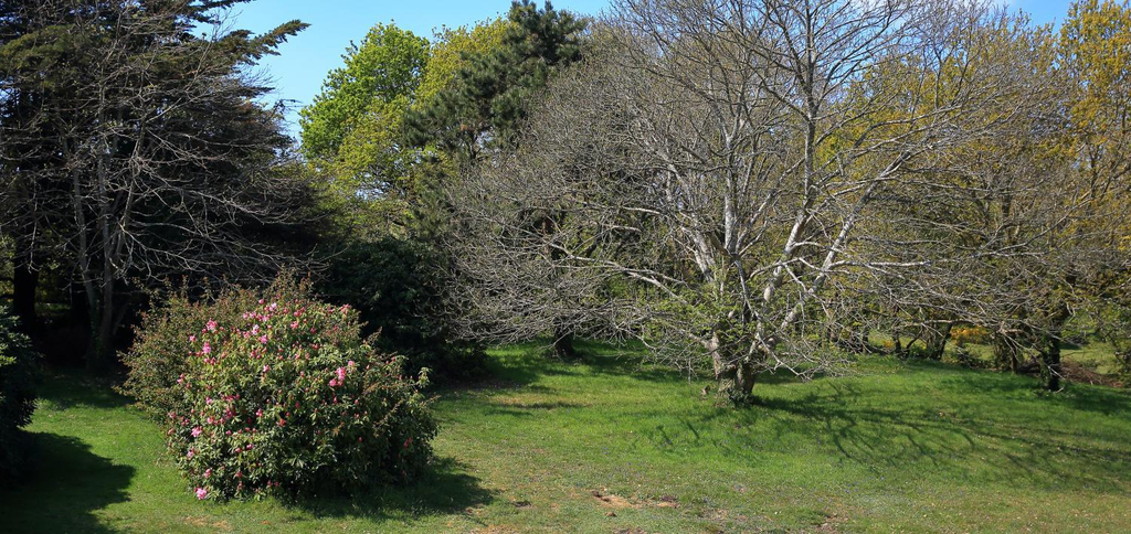 Others 3, Aux Arbres Chanteurs, Côtes-d'Armor