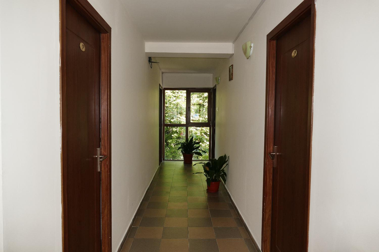 Others 3, Pensiunea Pinul Negru, Baile Herculane