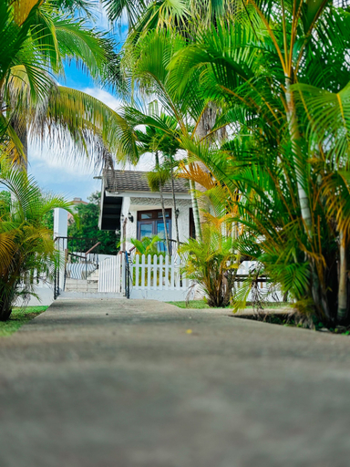 Exterior & Views 2, Reggae Legends Estate
