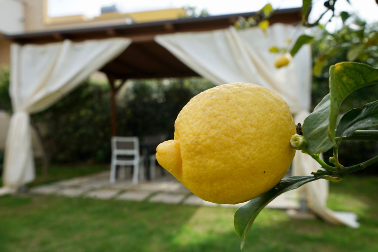 Food & Drinks, B&B Milena, Trapani