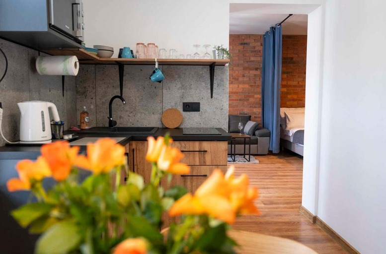 Others 3, Apartamenty Krzywa, Katowice City