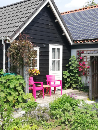 Zalk blijven slapen, Kampen