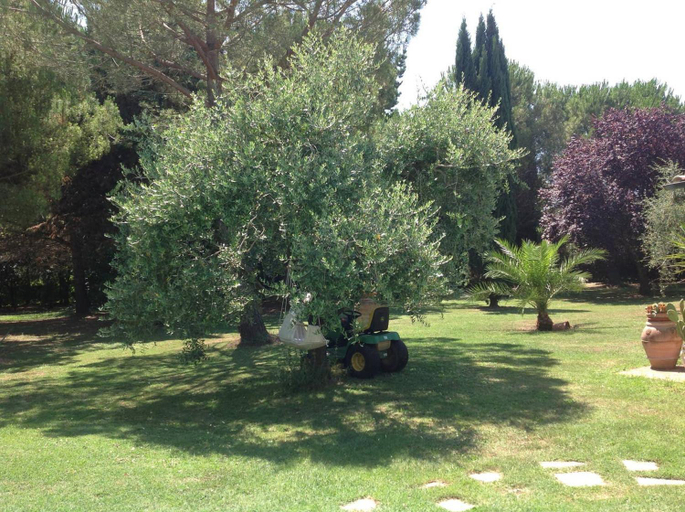 Others 3, Charming Villa in Pisa with terrace and shared pool., Pisa