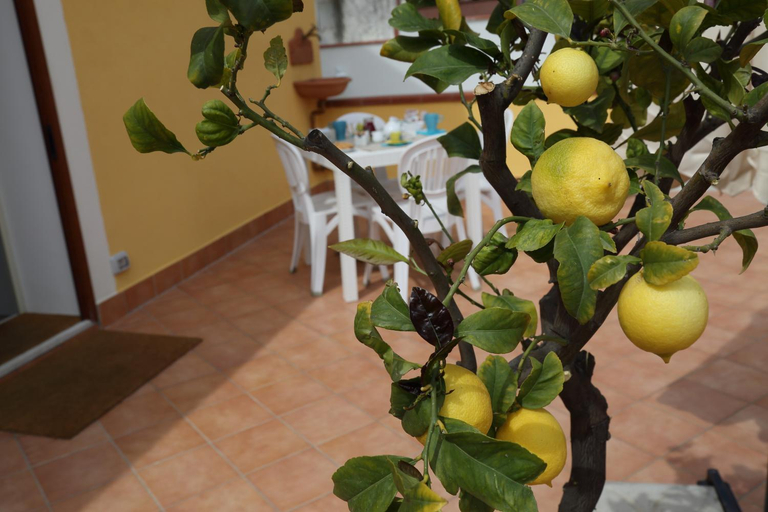 Food & Drinks 5, La Cartolina Apartment, Messina