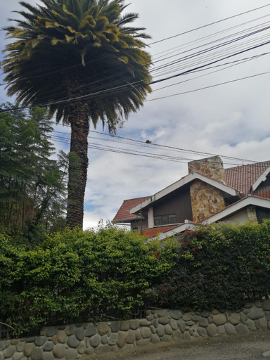 Others 5, Casatodosantos, Cuenca