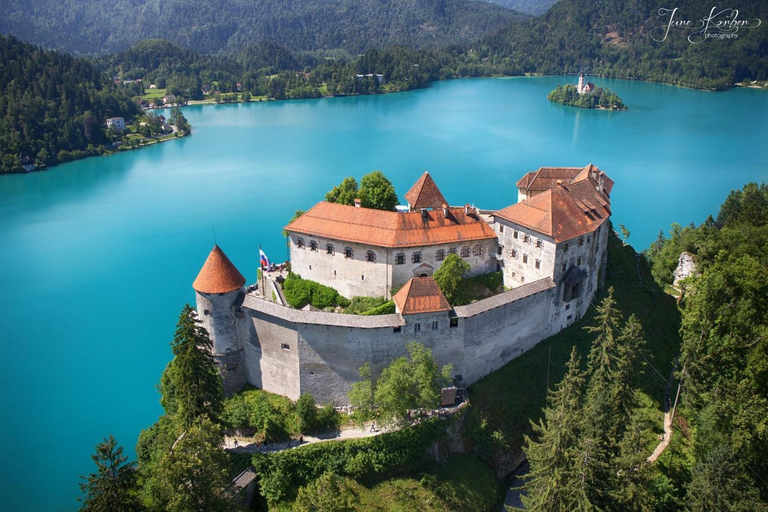 Others 2, Castle way Apartments Tamy, Bled