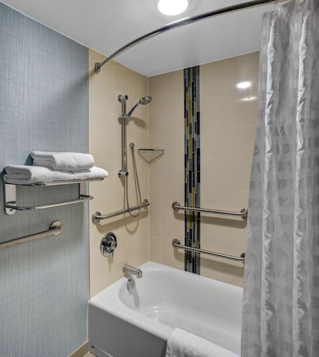 Bathroom 4, Hyatt Place Busch Gardens, Hillsborough