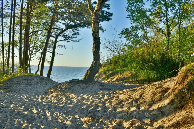 Others 2, Bla Marine Domki nad Morzem, Kołobrzeg