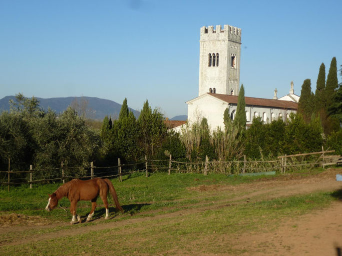 Others 3, Casa Marce a "Sonno", Lucca