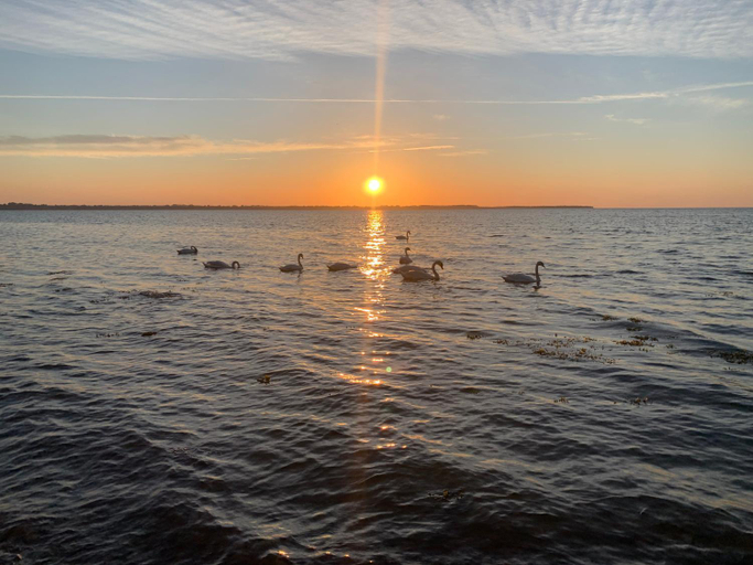 Others 5, Reet und Meer Beckerwitz, Nordwestmecklenburg