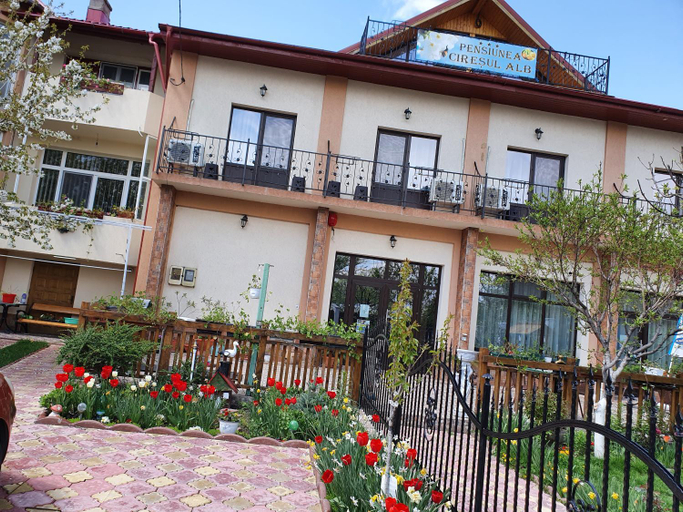 Others 5, PENSIUNEA CIRESUL ALB, Tulcea