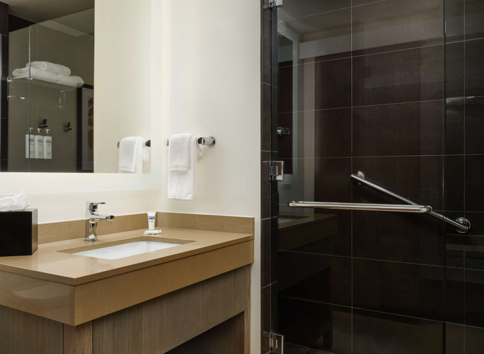 Bathroom 5, Hyatt House Atlanta Downtown, Atlanta