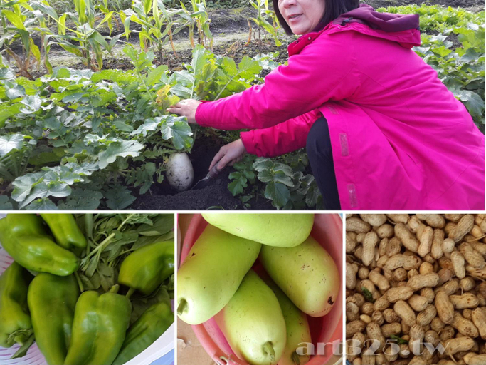 Garden 3, Yi Tian Homestay, Hualien