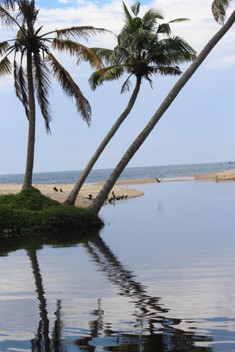 Others 4, Telma Beach Homestay, Alappuzha