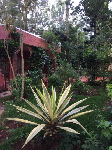 Scenery 13