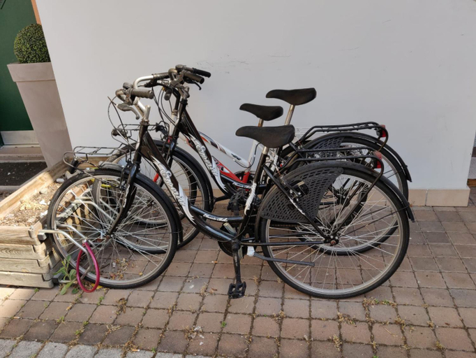 Others 2, Tridentum, Trento