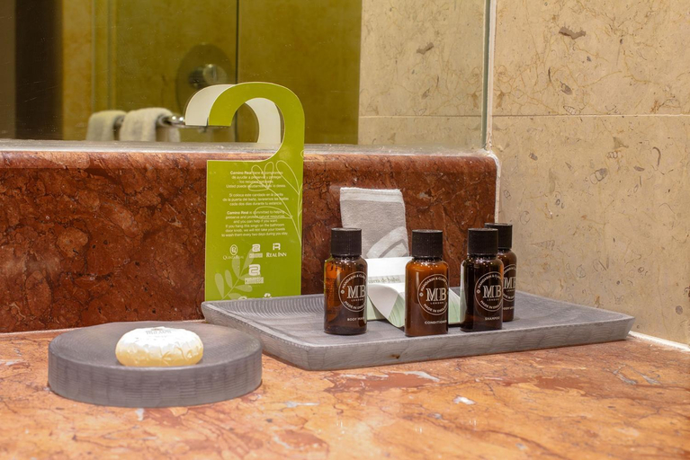 Bathroom 4, Camino Real Pedregal, Mexico City