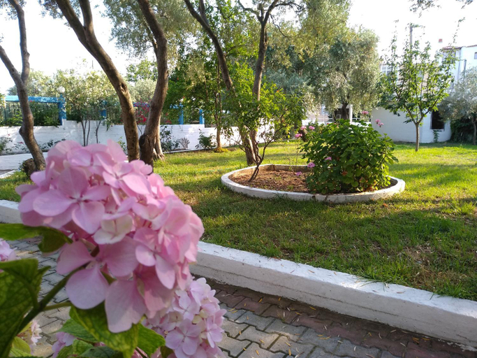 Others 5, Makedonia, East Macedonia and Thrace