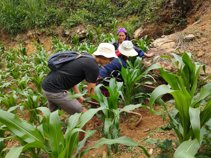 Others 3, Mu Cang Chai Hostel, Mù Căng Trai