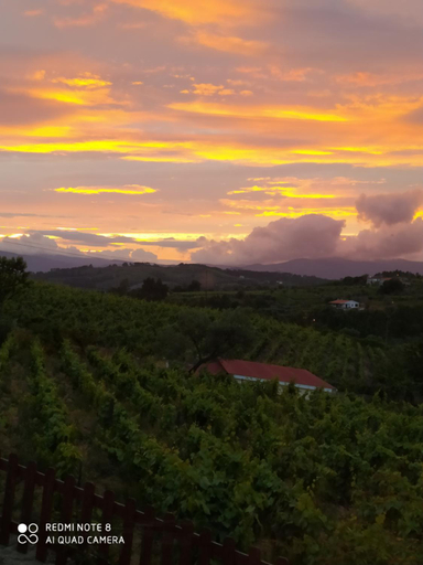 Others 4, Casa das Vinhas Velhas by Casa do Poco, Peso da Régua